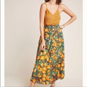 Anthropologie Skirt